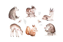 Woodland Animals Set. Owl, Hedgehog, Fox And Butterfly, Bunny Rabbit Set Of Forest Squirrel And Chipmunk, Bear And Bird Baby Animal, Scandinavian Nursery Wolf Watercolor Kids Poster Design