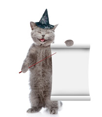 Poster - Happy cat wearing hat for halloween points on empty list. isolated on white background