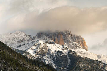 trees, mountain paths under the first snow on the lake of carezza in trentino alto adige in italy