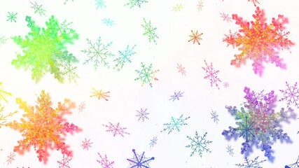 Wall Mural - beautiful green Christmas tree lies on the white snow