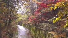 軽井沢の紅葉と田舎の川