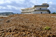 Mountain of debris. Heap of sea balls or neptune balls.Beach with mountain of debris and abandoned building in a state of decay. 