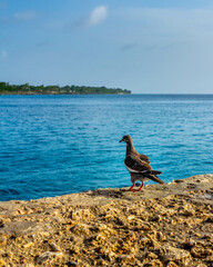 San Andres - Colombia