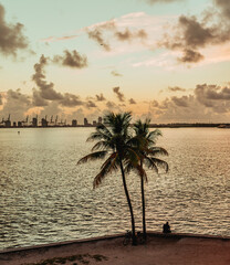 Wall Mural - sunrise Miami Florida palm tropical views sea horizon sky clouds man 