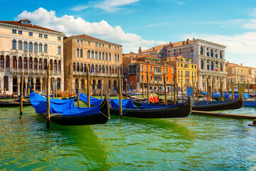 Wall Mural - Gondolas along the Grand Canal