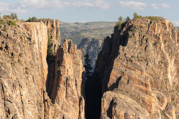 Large Pine Tree Grows In The Wedge Between Two Rock Cliffs