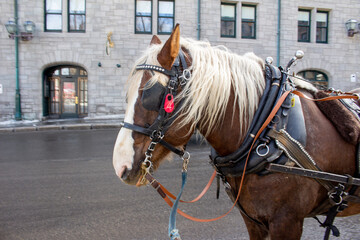 Quebec City