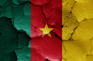 Wall Mural - flag of Cameroon painted on cracked wall