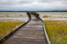 A Boardwalk Over The Saltwater Marsh During An Extremely High Tide In St. Augustine, Florida. 