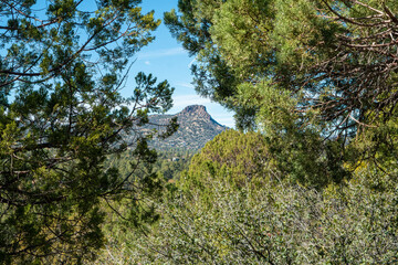 Poster - Thumb Butte in the fall