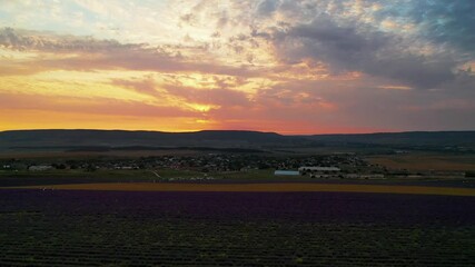 Poster - Aerial view of the sunset over the lavender field.