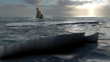 Polar Bear Sitting On Last Melting Iceberg In The Ocean, Dolly Shot
Global Warming Concept, Polar Bear In Extinction Danger
