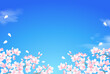 桜と青空の美しいベクターイラスト背景