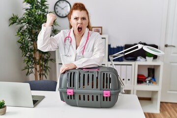 Wall Mural - Young redhead veterinarian woman working at pet clinic annoyed and frustrated shouting with anger, yelling crazy with anger and hand raised