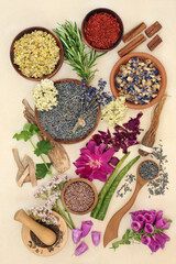 Poster - Healing herbs and flowers for health and wellness for alternative plant based herbal medicine remedies. Natural health care concept. Top view, flat lay on cream background.