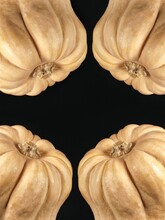 Four Close Up Pumpkins Japanese Fruits On Black Background 