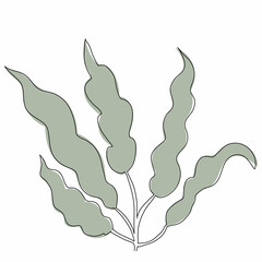 Wall Mural - seaweed one line isolated, vector