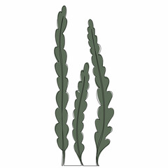 Wall Mural - green seaweed one line drawing isolated, vector