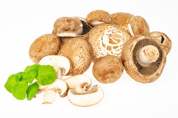 Canvas Print - Bunch of fresh brown cultivated champignon mushrooms isolated on white background. Studio Photo