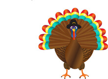 Large Graphic Illustration Of A Turkey With A Wingspread Wearing A Pilgrim Hat.  Isolated On White Background.