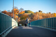 © fotolupa - Scenic pathway to Krakus Mound in autumn colors