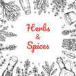 © Kseniia - Hand drawn herbs and spices design. Vector illustration in sketch style
