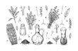 © Kseniia - Set of hand drawn herbs and spices design elements. Vector illustration in sketch style