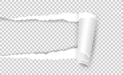 Poster - Torn paper with rolled edge, ripped notebook page sheet. Realistic rip out curled papers strip hole on transparent background vector template. Teared document with folded or curled piece