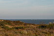 Dünenlandschaft auf der Nordseeinsel Sylt mit Blick auf das Meer