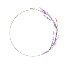 Round Frame Made Of Lavender Flowers. Vector Stock Illustration. Delicate Lilac Buds. Purple Template For A Wedding Invitation. Isolated On A White Background.