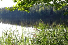 Quiet Smooth Beautiful Lake In Finland