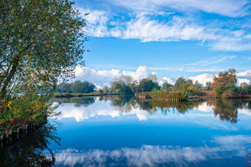 Wall Mural - view of wetland recreational area 't weegje near gouda, the netherlands. beautiful reflections of cl
