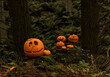 halloween pumpkin in the forest