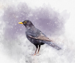 Wall Mural - Portrait of a blackbird, watercolor painting