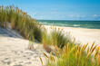 Summer beach ona Baltic Sea, sand, green grass and blue sky