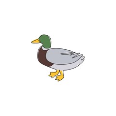 Poster - Single continuous line drawing of cute mallard for farm logo identity. Waterfowl duck mascot concept for animal livestock icon. Modern one line draw design vector graphic illustration