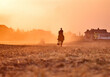 © Елизавета Мяловская - Girl riding a friesian horse in a field at sunset