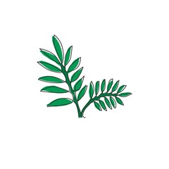 Wall Mural - Single continuous line drawing of tropical leaves plant. Printable poster decorative houseplant concept for home wall decor wallpaper ornament. Modern one line draw design graphic vector illustration