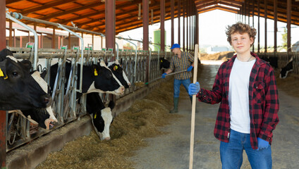 Portrait of confident smiling teen boy working in outdoor cowshed, standing with tool near stall with herd of cows