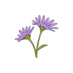 Wall Mural - Single continuous line drawing of beauty fresh perennial plant for home decor wall art poster. Printable decorative aster flower for wedding invitation card. One line draw design vector illustration