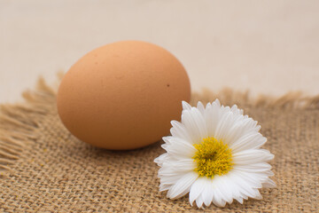 Chicken egg with a white flower on a linen napkin.