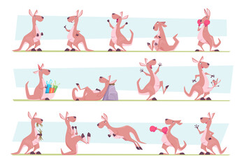 Wall Mural - Kangaroo. Australia authentic animals jumping in wild flora exact vector animal character in various poses