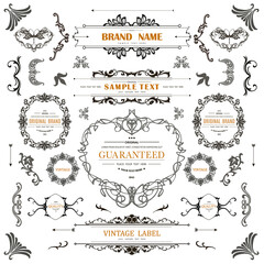 Wall Mural - set of vintage decorations flourishes elements.