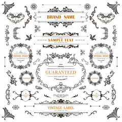 Wall Mural - set of vintage decorations flourishes elements.