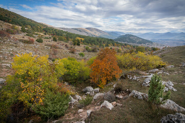 Bright colors of autumn in Gran Sasso park in Abruzzo, Italy