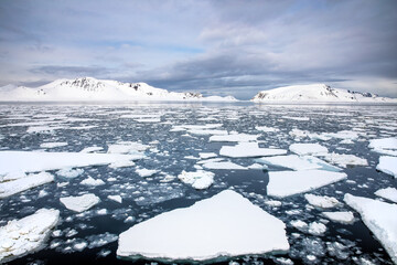Wall Mural - floating ice in the arctic sea, with the snow covered mountains of svalbard on the horizon.