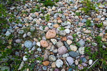 Rocks At The Riverbed Of Cottonwood Creek, Yellowstone National Park, Wyoming, USA