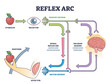 Reflex ARC sensory neuron pathway from stimulus to response outline diagram. Labeled educational body neurology principle explanation with spinal involuntary and conscious thought vector illustration.