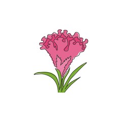 Wall Mural - Single continuous line drawing beauty brain celosia for home wall art decor poster print. Printable decorative cockscomb flower for wedding invitation card. One line draw design vector illustration