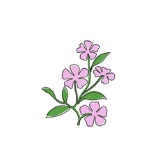 Wall Mural - Single one line drawing of beauty fresh catharanthus for garden logo. Decorative periwinkle flower concept for home wall decor art poster print. Modern continuous line draw design vector illustration
